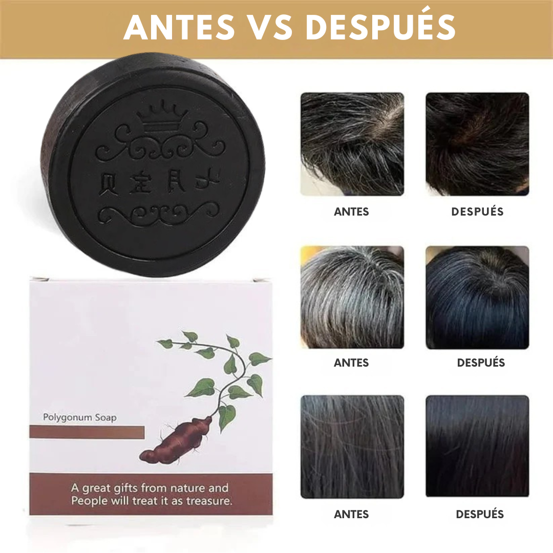 HairRevive™ | 2X1 ✨ Shampoo Anticaída, Anti canas & caspa