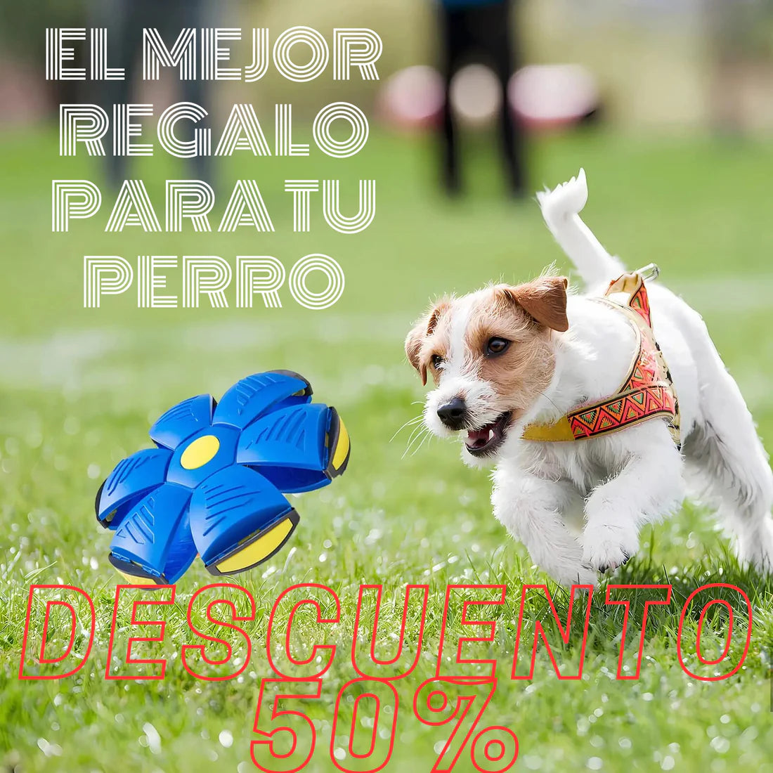 Pelota Voladora Con Luces Mascotas - SkyBall™